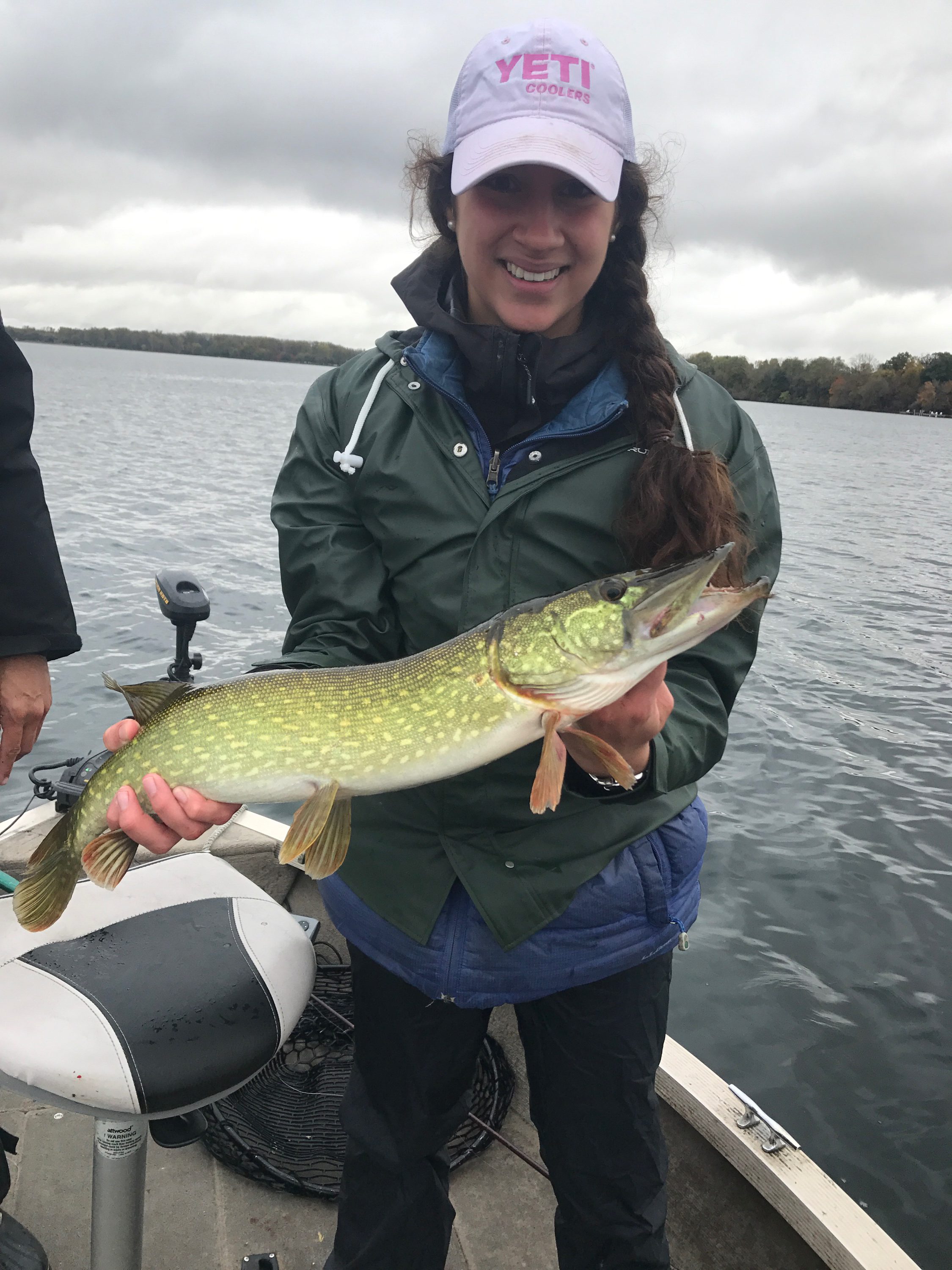 Pike/chain pickerel hybrid? : r/Fishing