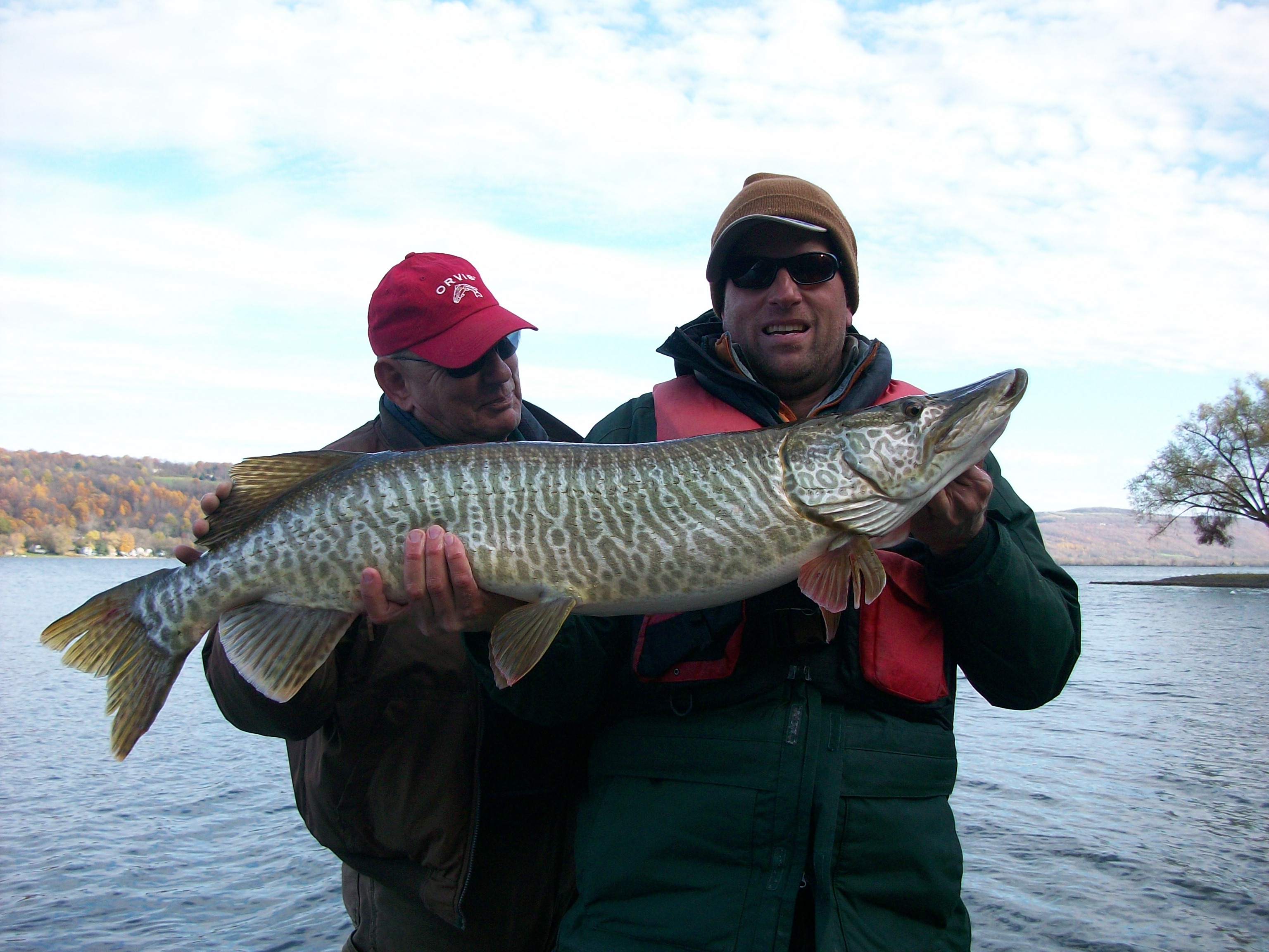 Tiger Musky – Finger Lakes Angling Zone