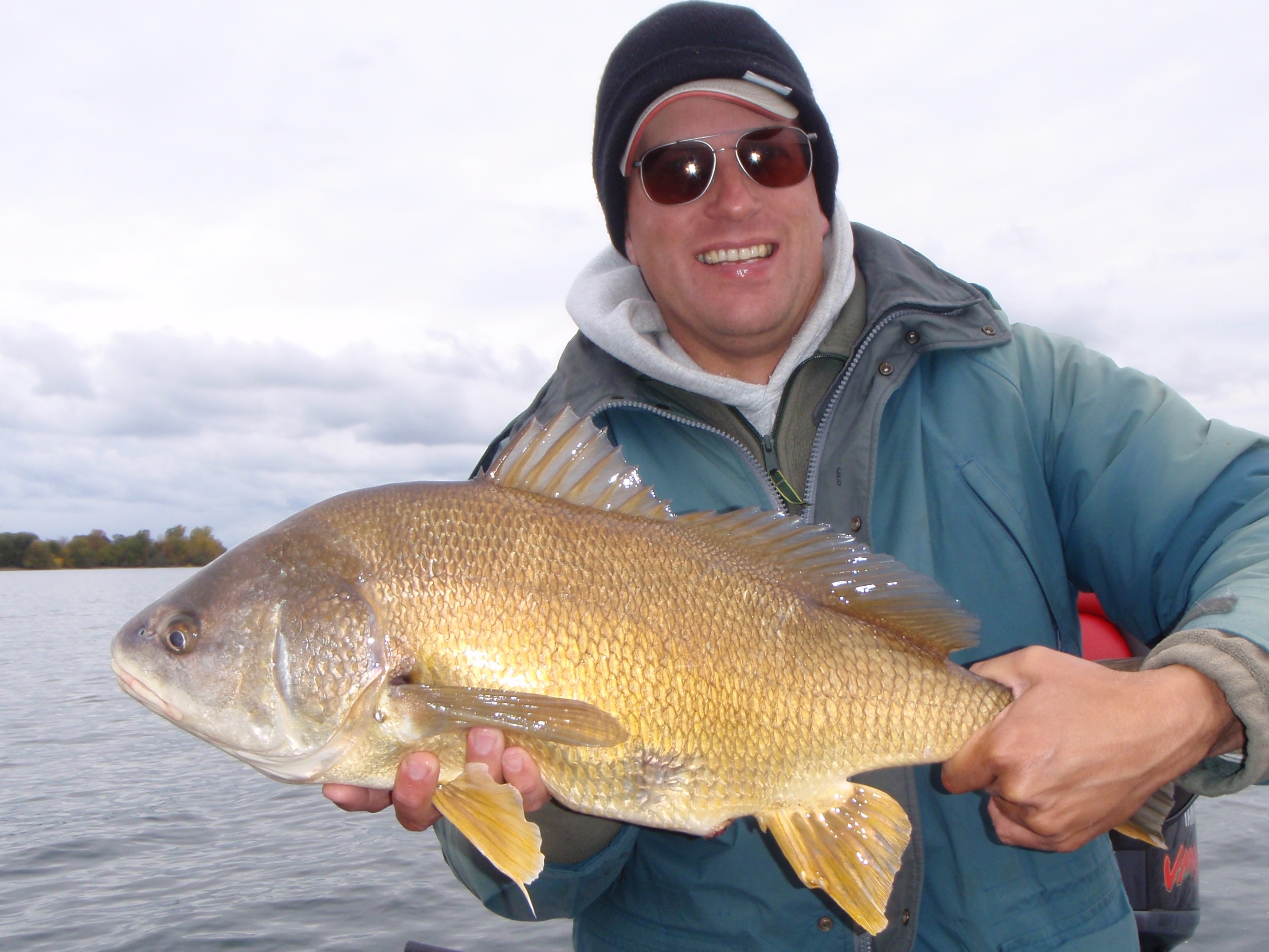 Freshwater Drum