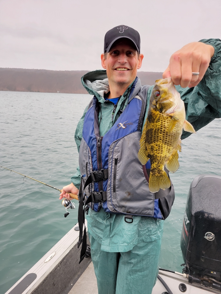 A rock bass and some yellow perch out of Chautauqua Lake. : r/MicroFishing